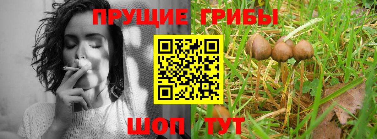 Галлюциногенные грибы мицелий Гуково